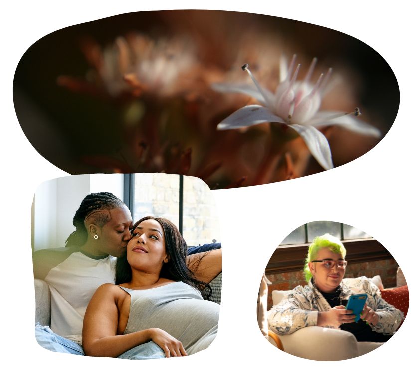 A collection of three images. Top image is a close-up of a white blooming flower. The left image is of a queer Black couple cuddling on the couch in casual clothes. The bottom right image is a small fat, queer person with bright green hair sitting on a couch looking at their phone.